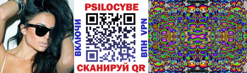 Купить закладки  Болгар  Псилоцибиновые грибы Psilocybe 